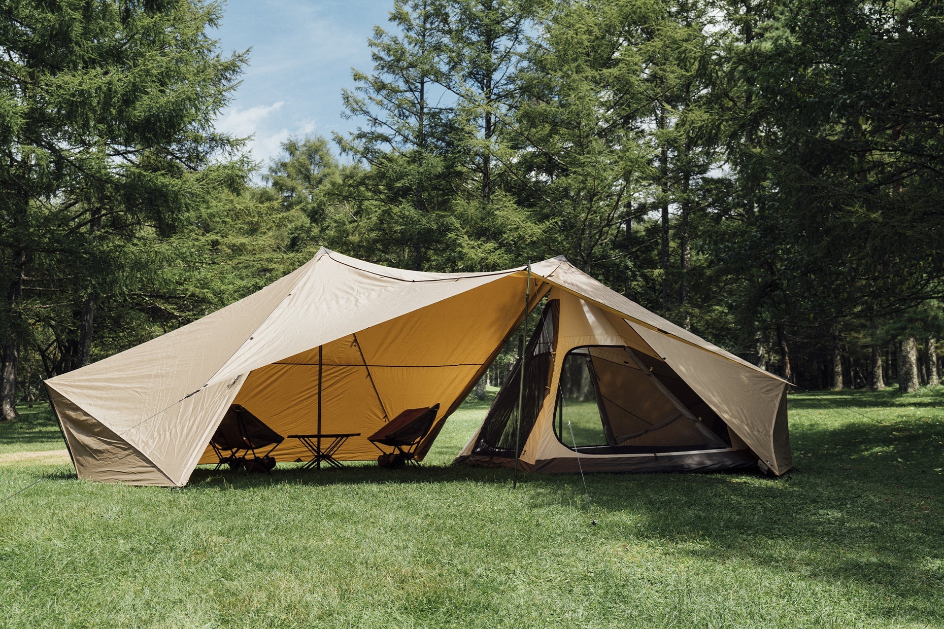 1331e7848ff6--img-landscape-01