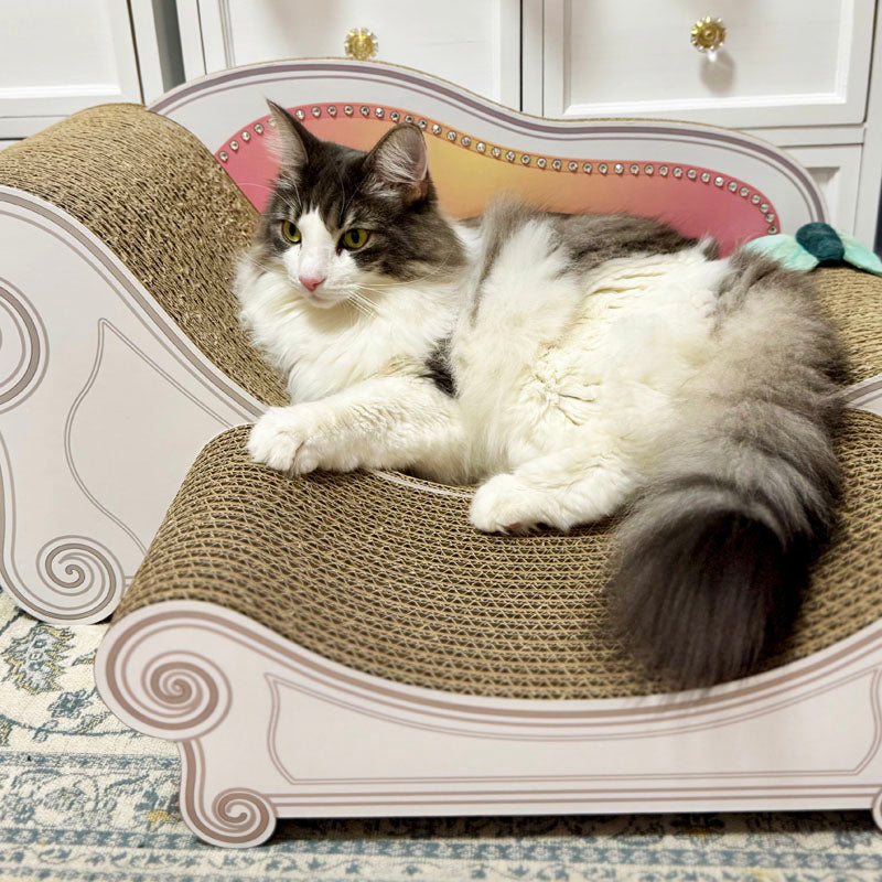 スツールをプラスして広々♪ノルウェージャンフォレストキャットの