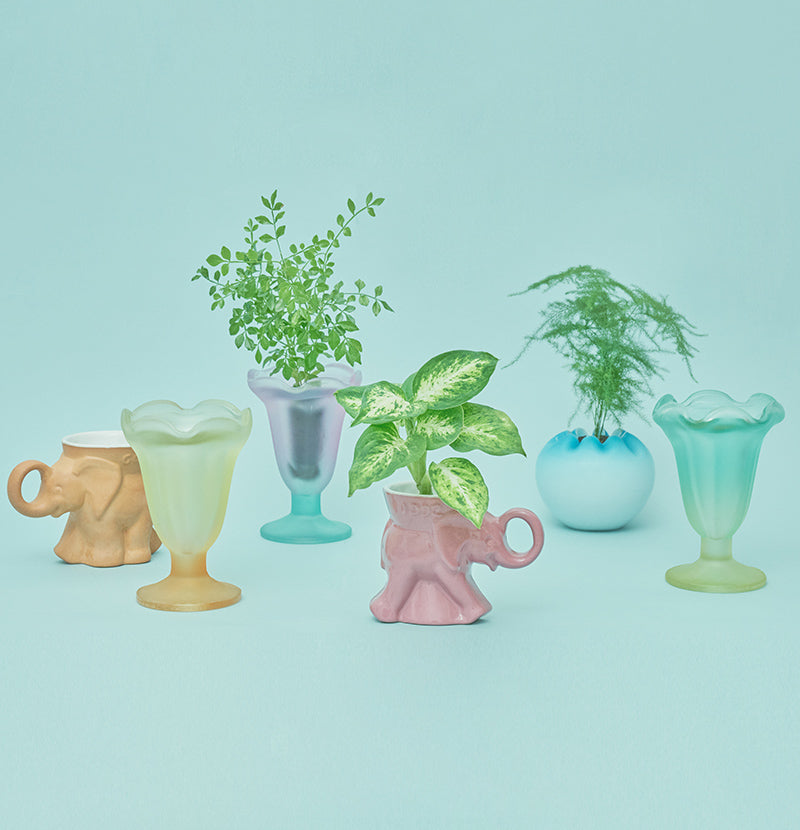 Vintage Pot - Select by PART OF NATURE - 発売のお知らせ – &Green