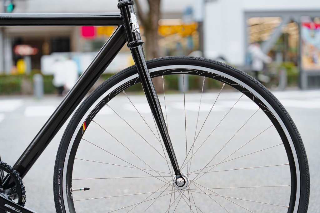 NKS07936.jpg?v=1749286372