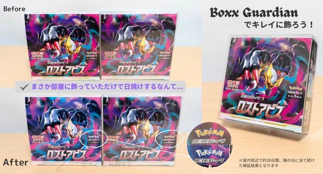 Boxx Guardian ポケモンカードBOX用 ポケモンワールドチャンピオン