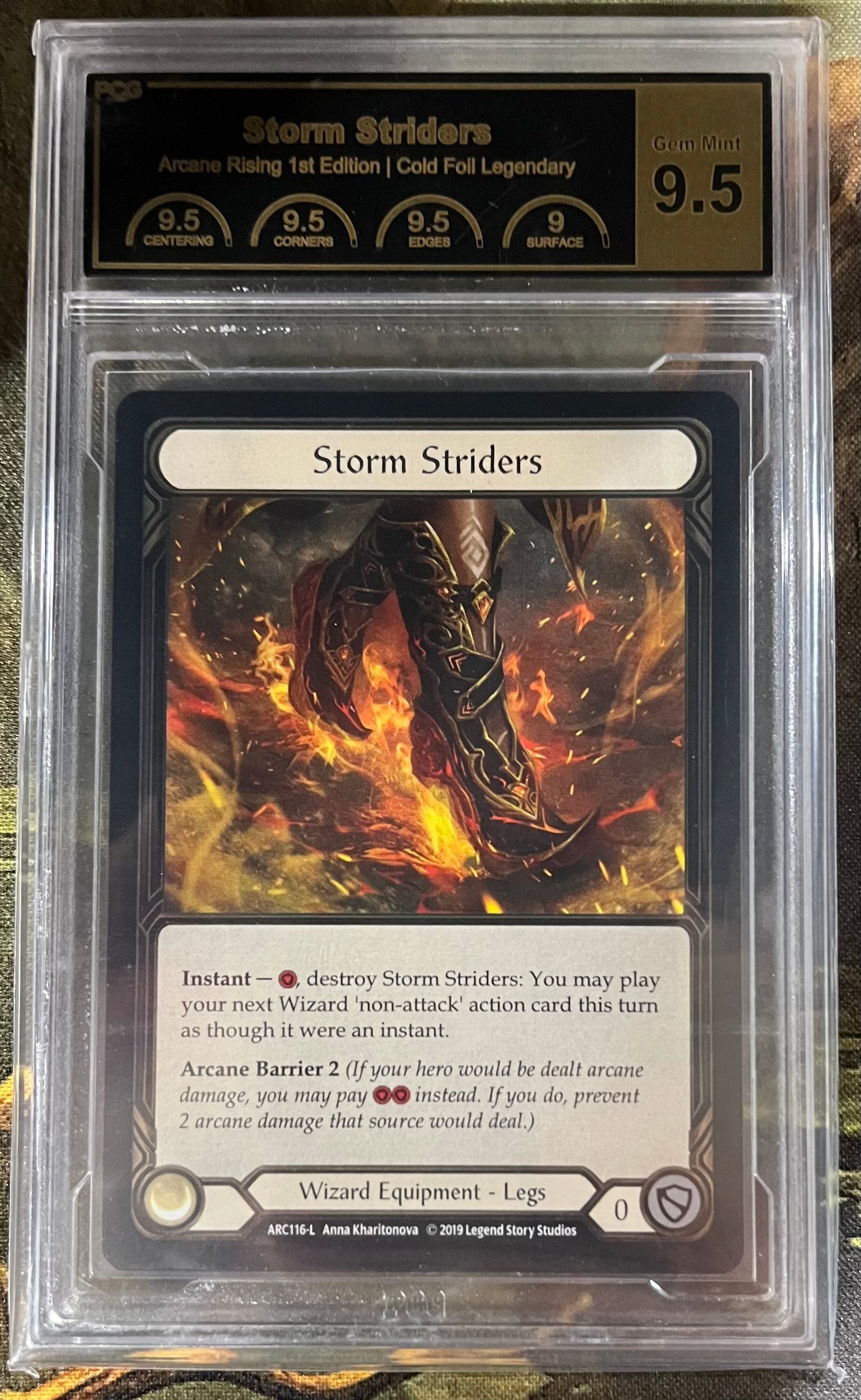 EN】Storm Striders [1HP305]