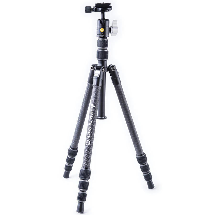 TB204CB1.jpg?v=1703235517