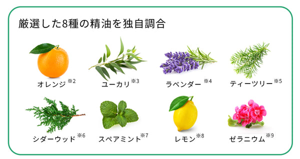 スーパーシャイニー限定香調ペアセット〈数量限定〉 | ザ パブリック