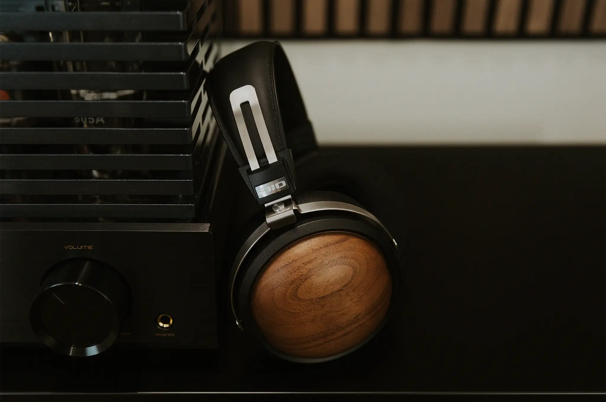 FiiO FT1 Dynamic Closed-Back Headphones | Bloom Audio