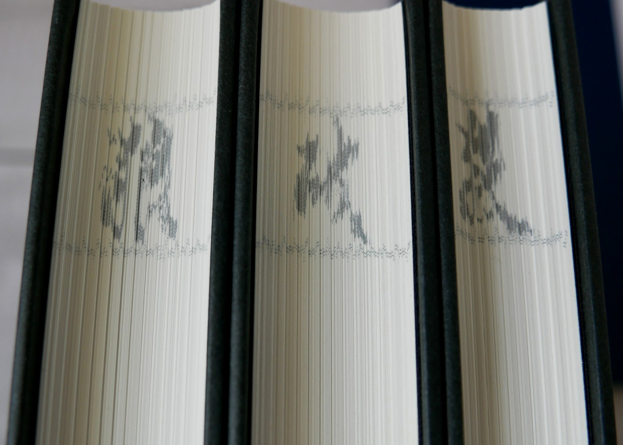 台湾繁体|| 现货】《殺破狼》（全三册）BY：Priest – DM Novel