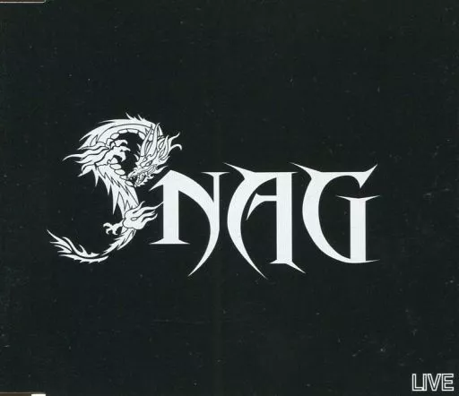 成田昭次 Snag Live 駿河屋 -<中古>成田昭次 / Snag Live（邦楽）