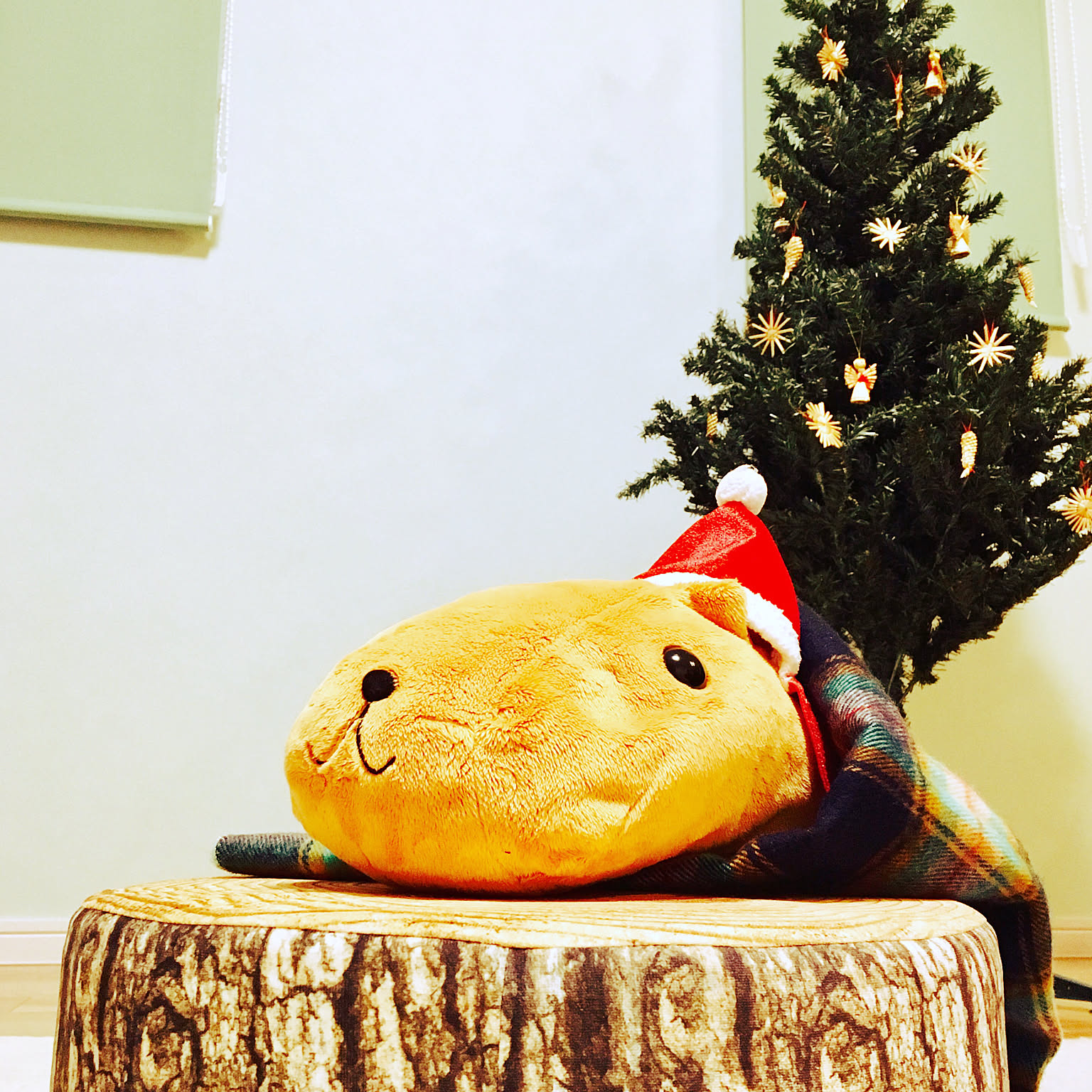 クリスマスツリー 切り株のおすすめ商品とおしゃれな実例 ｜ RoomClip