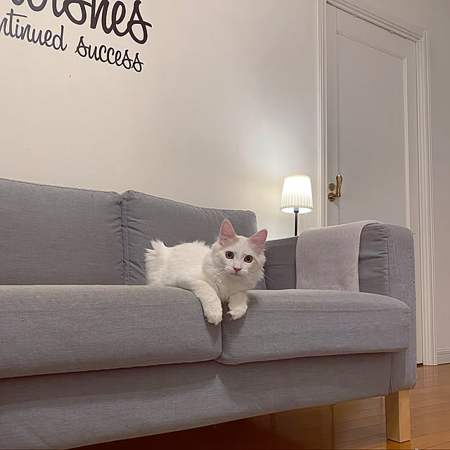 IKEA/イケア/通販】 KARLSTAD カルルスタード 2人掛けコンパクトソファ