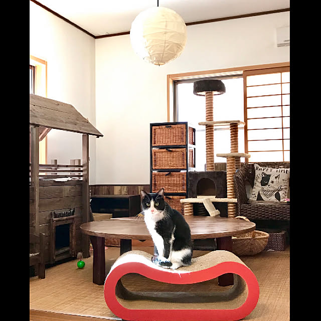 ラタンチェスト(籐) 引出し5段【MINKA】ミンカ【完成品】（アジアン