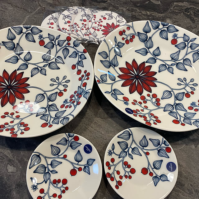 アラビア / ルノ オーバルプレート25cm フロストベリー [ Arabia Runo