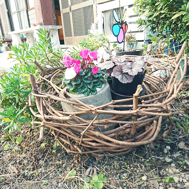 あけびのつるのインテリア実例 ｜ RoomClip（ルームクリップ）