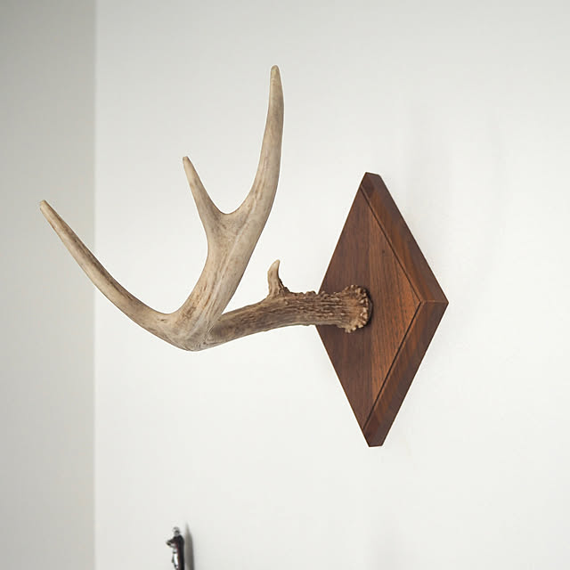 DIY 鹿の角のインテリア・手作りの実例 ｜ RoomClip（ルームクリップ）