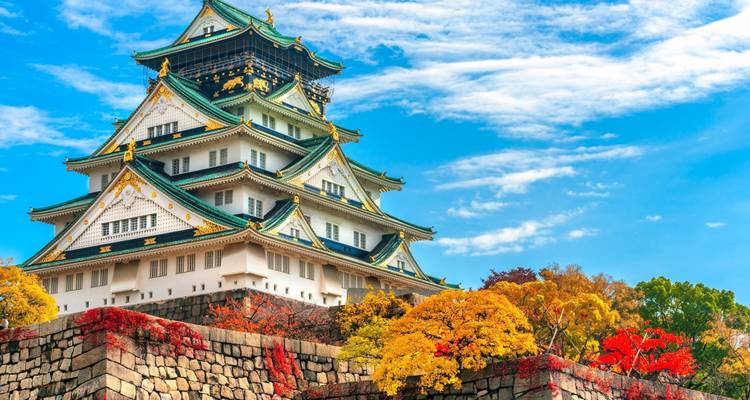 10 Day Highlights of Japan Tour Package by Tourist Journey with 4