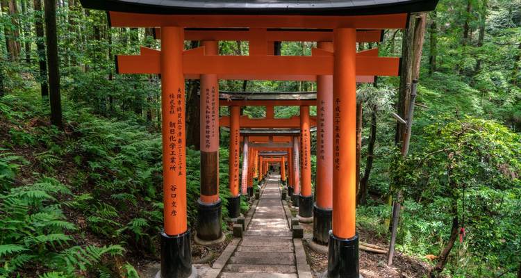 10 Day Highlights of Japan Tour Package by Tourist Journey with 4