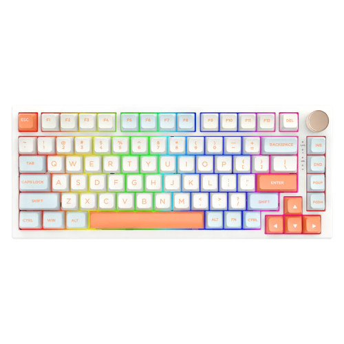 VGN N75 Dynamic Silver Jelly Orange [N75ORANGE] 有線 英語配列