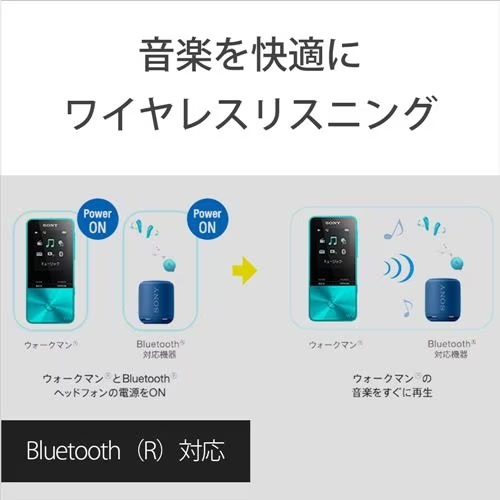 SONY ソニー NW-S315 (B) [16GB ブラック] ウォークマン Sシリーズ
