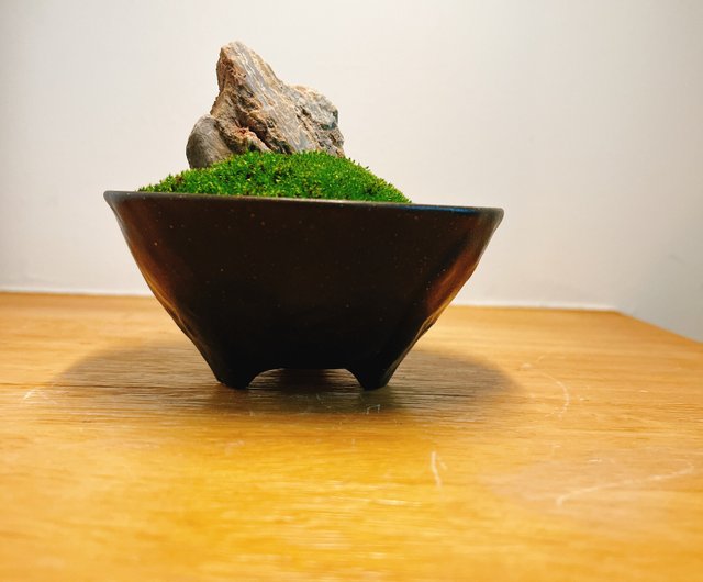 台湾 純天然 ミニ鉢 風景 苔盆栽 苔石鉢植え ギフト 小物 マイクロ風景