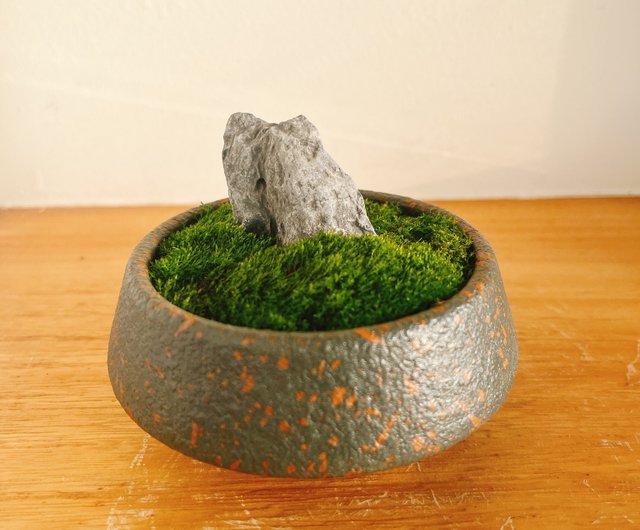 台湾 純天然 ミニ鉢 風景 苔盆栽 苔石鉢植え ギフト 小物 マイクロ風景