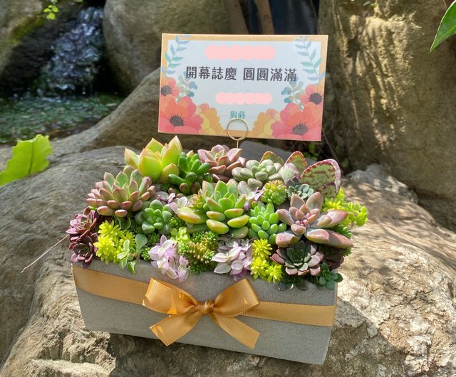台湾 【お急ぎ便対応】多肉植物の寄せ植え｜無料メッセージカード