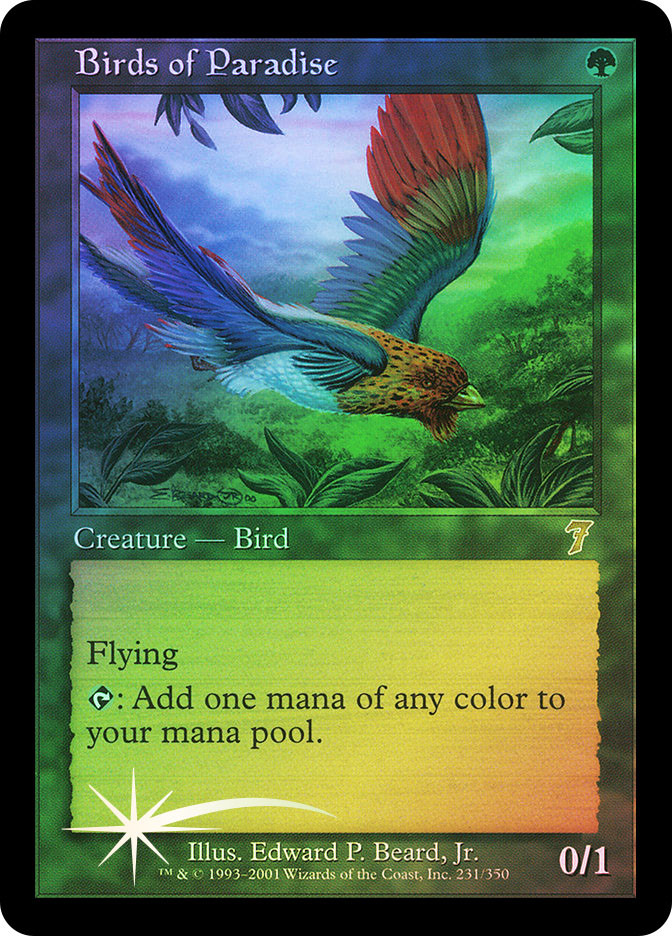 MTG 旧枠 foil 4枚セット 極楽鳥 DMR MTG 旧枠 foil 4枚セット