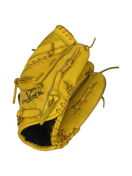 NIKE(ナイキ) / ダルビッシュ有モデル/投手用グラブ/グローブ/野球用品
