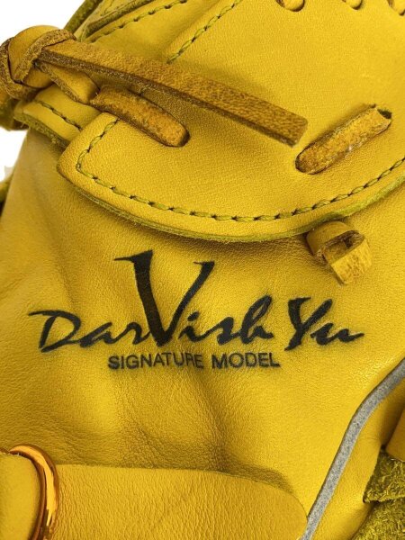 NIKE(ナイキ) / ダルビッシュ有モデル/投手用グラブ/グローブ/野球用品