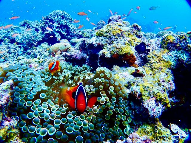 20230418023256_300553781_11603