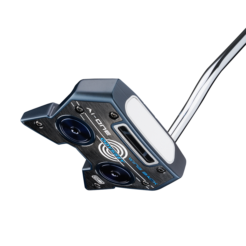 Ai-ONE WING BACKパター