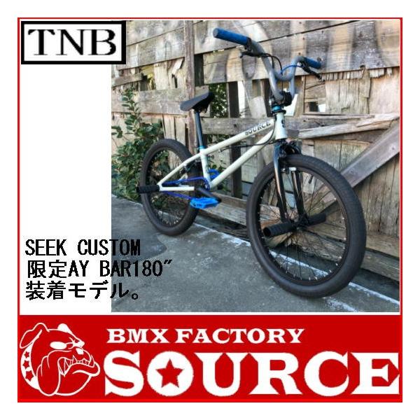 自転車 BMX FLATLAND 20インチ TNB SEEK CUSTOM GRAY AY-BAR /【Buyee