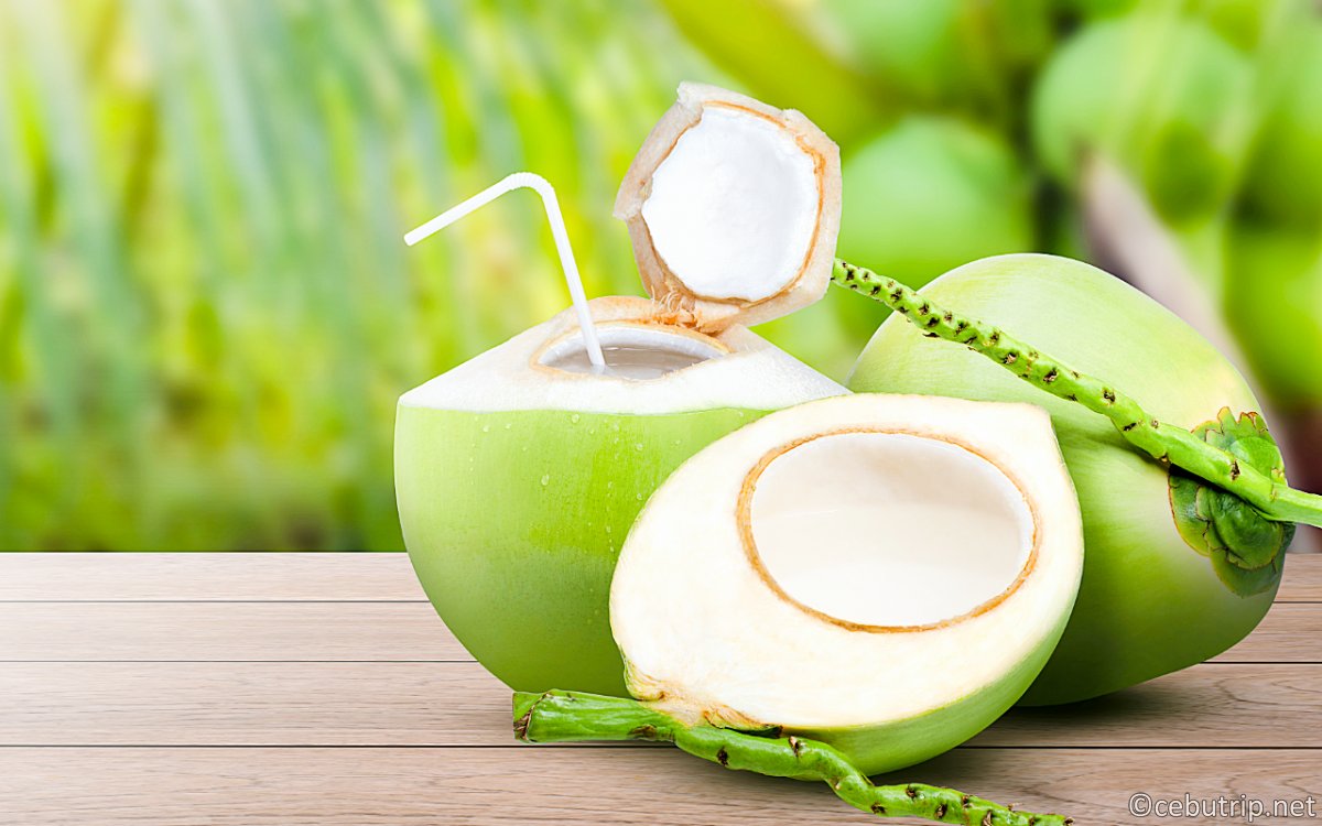 セブ島ウェルネス｜アーシングと天然カカオ・幻の塩を巡るリトリート旅