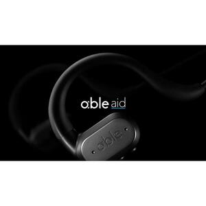 ダミー※ワイヤレス集音器 （able aid）のレビュー | ふるさと納税