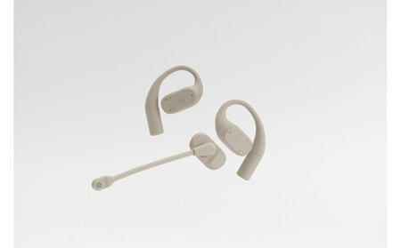 オープン型イヤホンfinal KDT3000 BEIGE イヤホン | 神奈川県川崎市