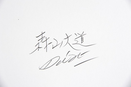 zushi art gallery森山大道写真作品「桜」（写真集『光と影』1982年