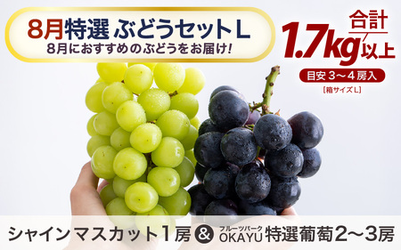 先行予約】8月特選 ぶどうセットL 1.7kg以上（3～4房）／ 葡萄