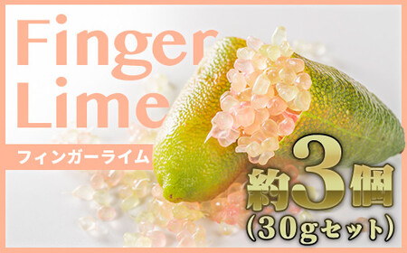 フィンガーライム 3個程度（合計30g）【FINGER LIME JAPAN公認