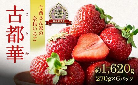 いちご 奈良県産 古都華 約1620g 270g×6パック 今西さん家の奈良いちご