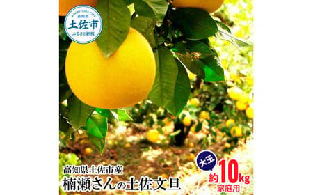 楠瀬さんの土佐文旦 家庭用大玉 約10kg 4L～2L | 高知県土佐市