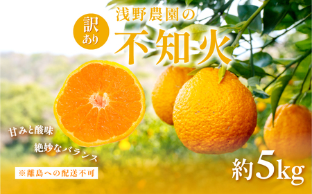 先行予約】【訳あり】浅野農園の不知火 計5kg ※離島への配送不可（2026