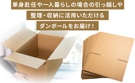 引越しダンボールセット 計15枚 (120サイズ：10枚 100サイズ：5枚