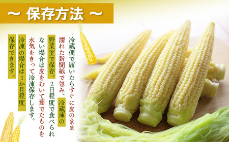 数量限定 ヒゲまで美味しい 皮つき ヤングコーン 30本 ☆2026年4月下旬