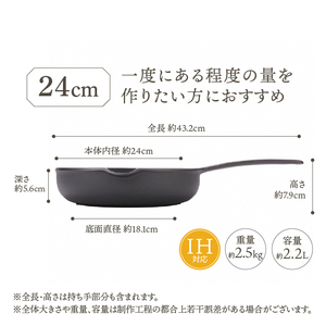南部鉄器 フライパン 24cm 【OIGEN 作】 IH調理器 伝統工芸品 鉄