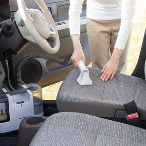 リンサークリーナー アイリスオーヤマ RNS-P10-W【自動ポンプ式