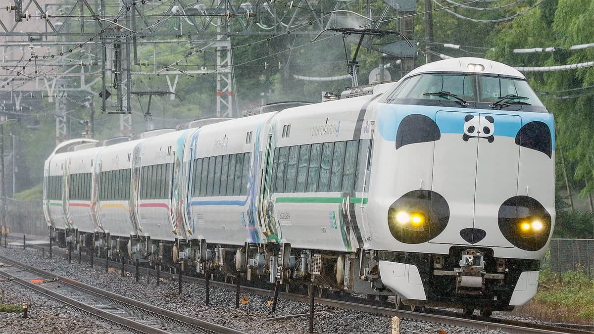 287系HC604編成が「パンダくろしお『サステナブルSmileトレイン