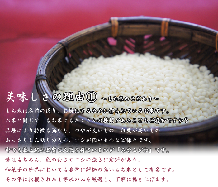切れ目アリ】 お正月 のし餅 4kg 無添 杵つき のしもち みやこがね餅