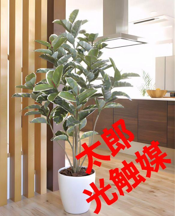 光触媒 人工観葉植物 ウォールグリーン フェイクグリーン アルテシマ