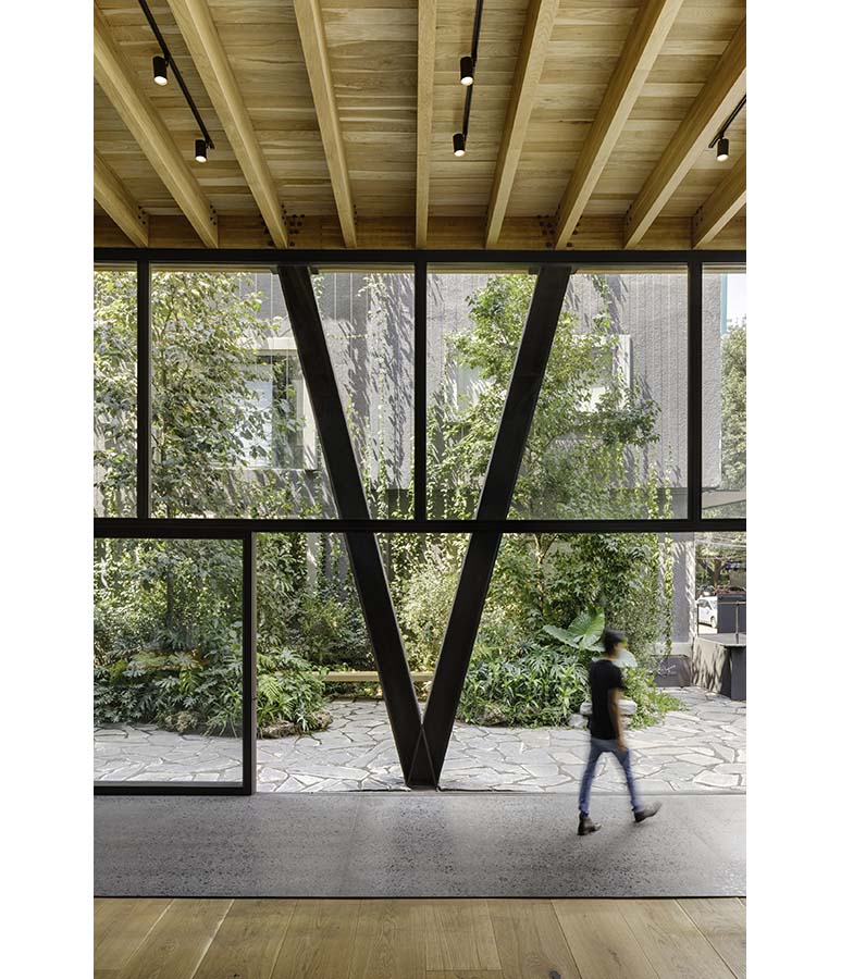 El Jardín Anatole - C3GLOBE