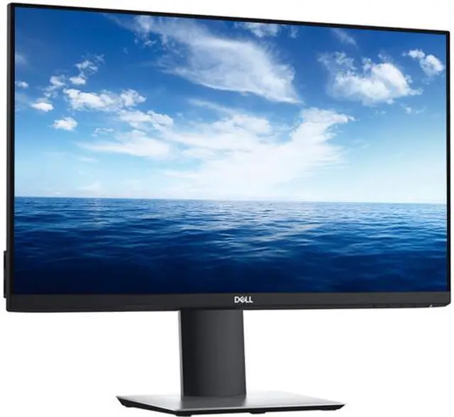 Dell DELL-P2419H 23.8