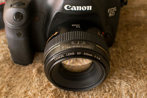 Canon EF 50mm F1.4 USMというレンズが好きだ | こえむの編集後記