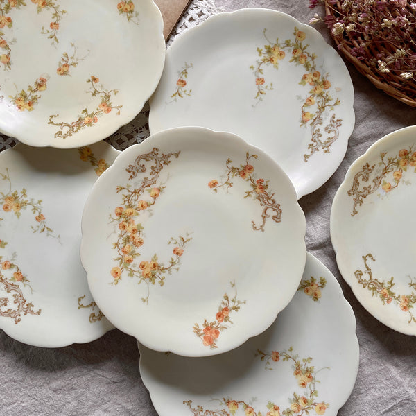 IMG_6212_grande.jpg?v=1719558582